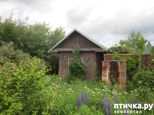 ����: �� ���� ��, � �������