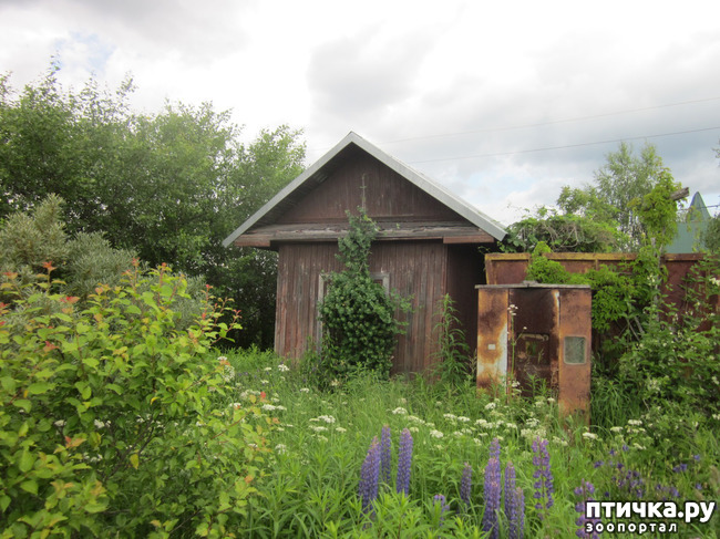 ���� 1: �� ���� ��, � �������