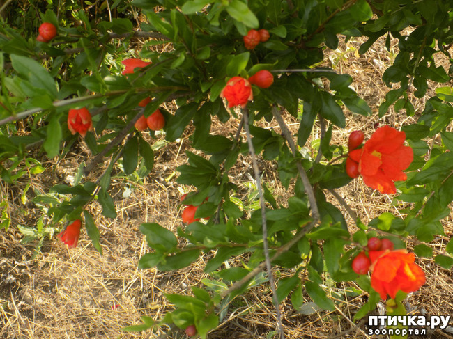 ���� 3: ������ ������ ���������.