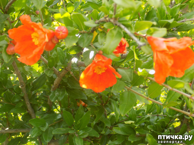 ���� 4: ������ ������ ���������.