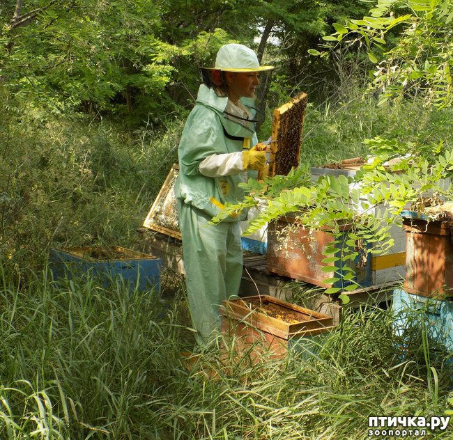 ���� 5: ������ ������ ���������.