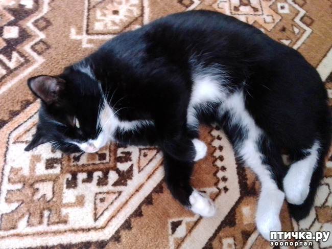 ���� 1: ��� � ������� ����