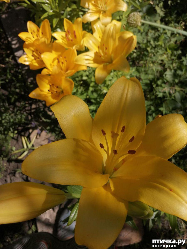 ���� 2: ��� ����������. �����, �������, �������, �������, ����������, �������� � ����.