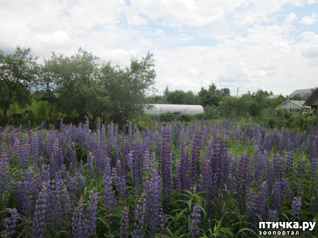 ���� 2: �� ���� ��, � �������