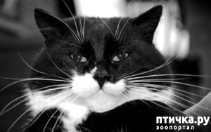 ����: �������� � �����