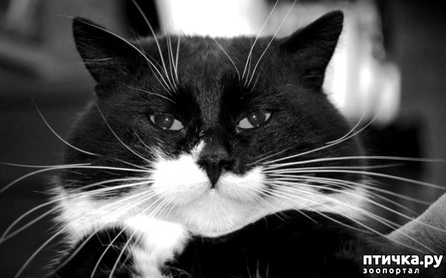 ���� 1: �������� � �����