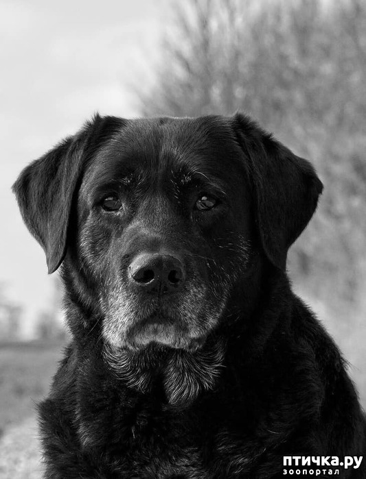 ���� 1: ������ ������ ������