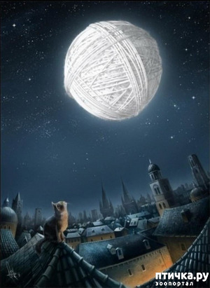 ����: ������ � ������ ( �� ���... )