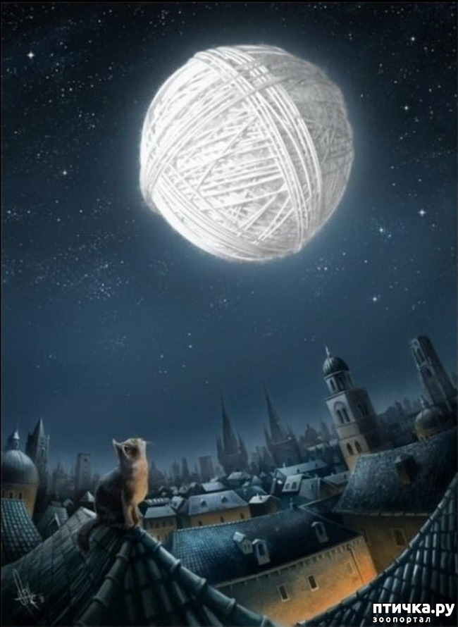 ���� 1: ������ � ������ ( �� ���... )