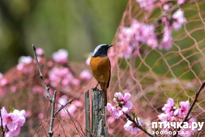 ����: ��� �������� � ��� ����� �����������