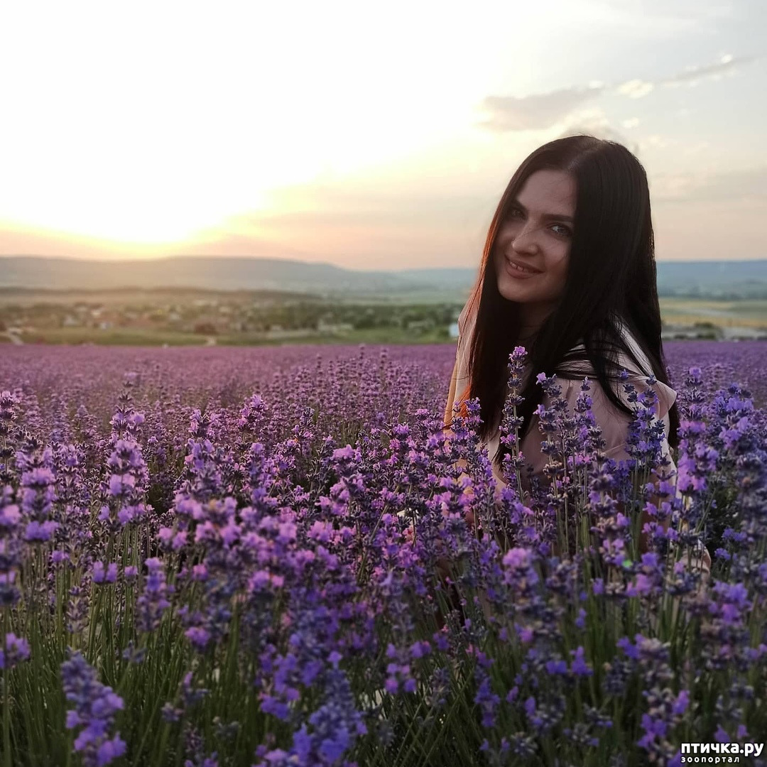 Малютина екатерина