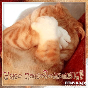 ����: �������� �������