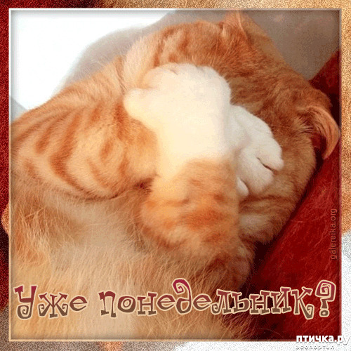 ���� 1: �������� �������