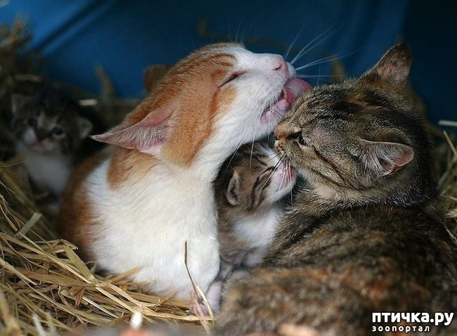 ���� 5: �������� �������