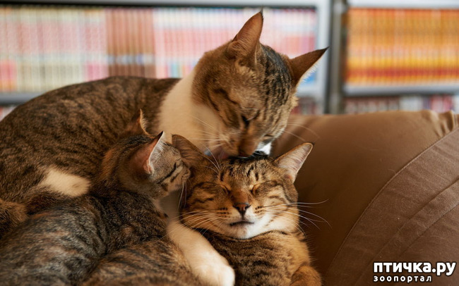 ���� 7: �������� �������