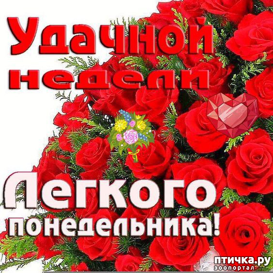 ���� 9: �������� �������