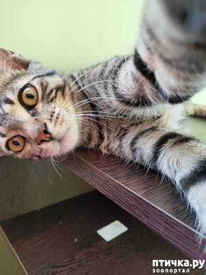 ����: � ���� ���� ������ �����?