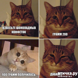 ����: �� ������ ���������� � ��� ������������ ��������!