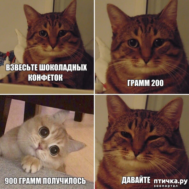 ���� 1: �� ������ ���������� � ��� ������������ ��������!