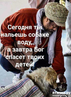 ����: ������� � ������