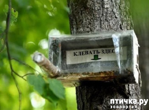 ����: ���������� ������ ������...