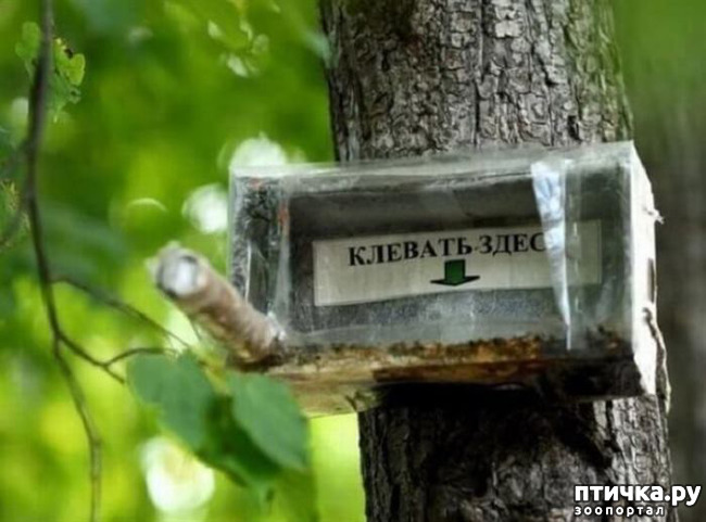 ���� 1: ���������� ������ ������...