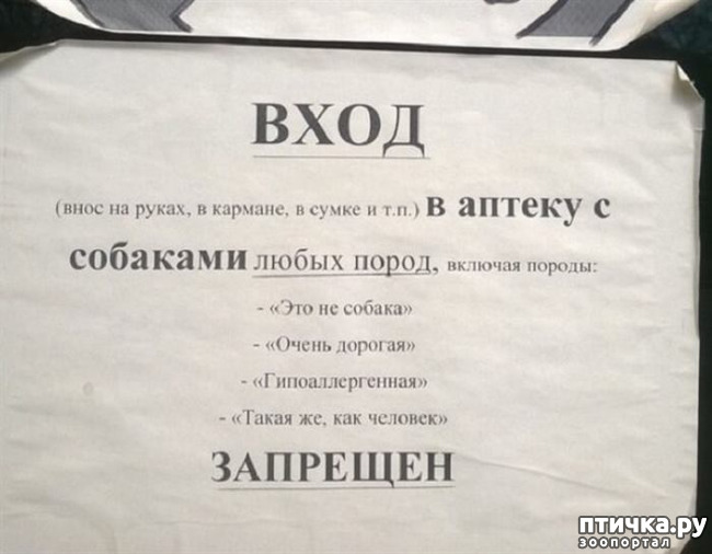 ���� 2: ���������� ������ ������...