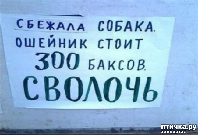 ���� 3: ���������� ������ ������...