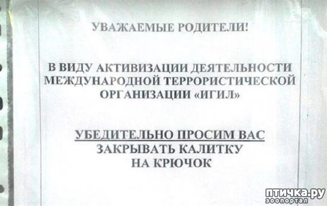 ���� 4: ���������� ������ ������...