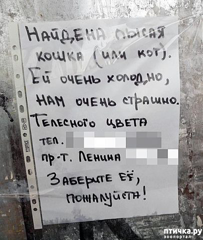 ���� 6: ���������� ������ ������...