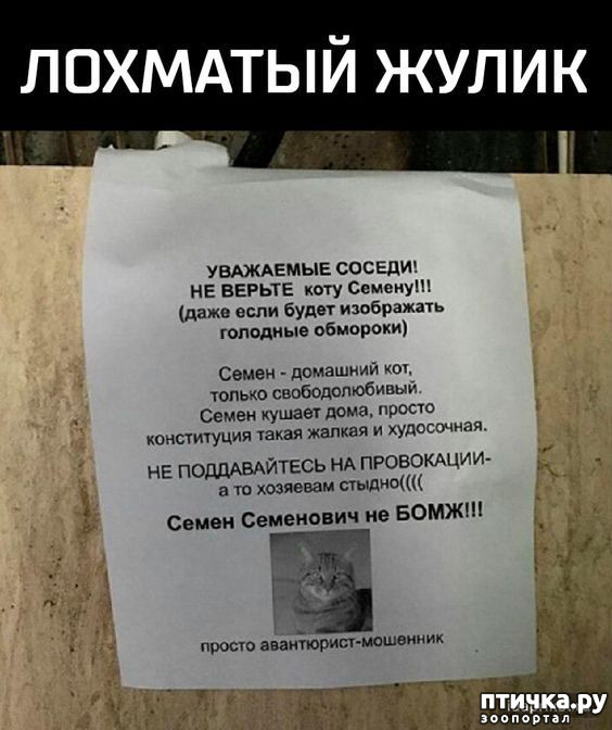 ���� 7: ���������� ������ ������...