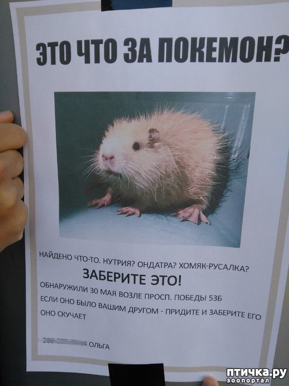 ���� 8: ���������� ������ ������...