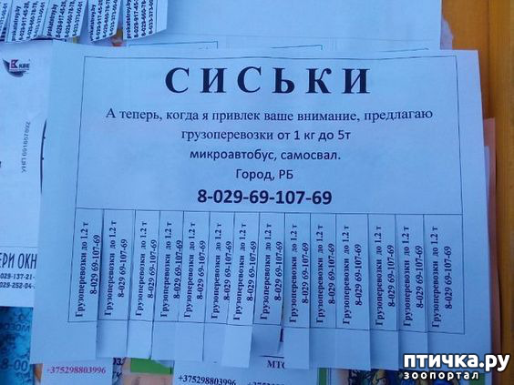 ���� 9: ���������� ������ ������...