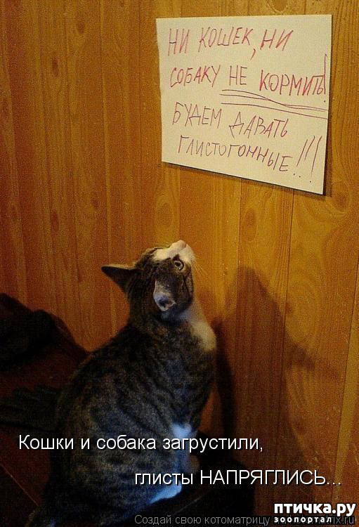 ���� 11: ���������� ������ ������...