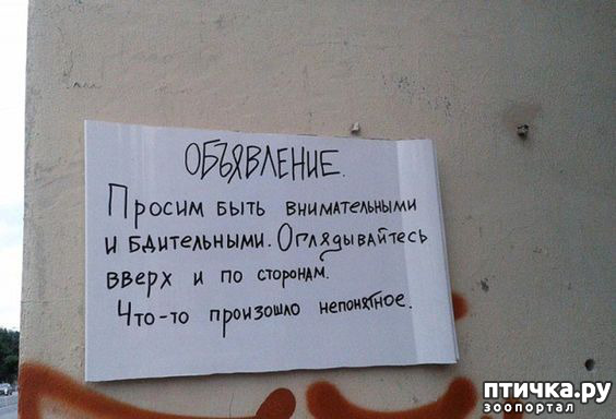 ���� 12: ���������� ������ ������...