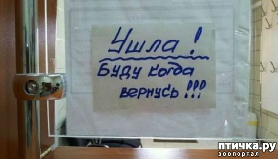 ���� 13: ���������� ������ ������...