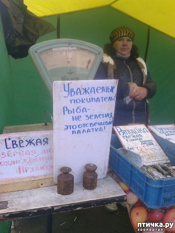 ���� 14: ���������� ������ ������...