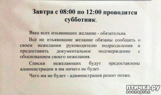 ���� 15: ���������� ������ ������...