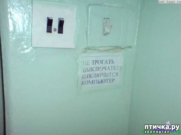 ���� 16: ���������� ������ ������...