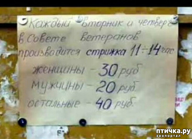 ���� 17: ���������� ������ ������...