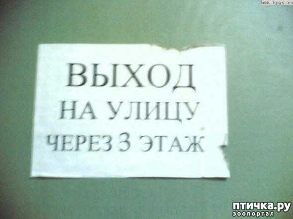 ���� 19: ���������� ������ ������...