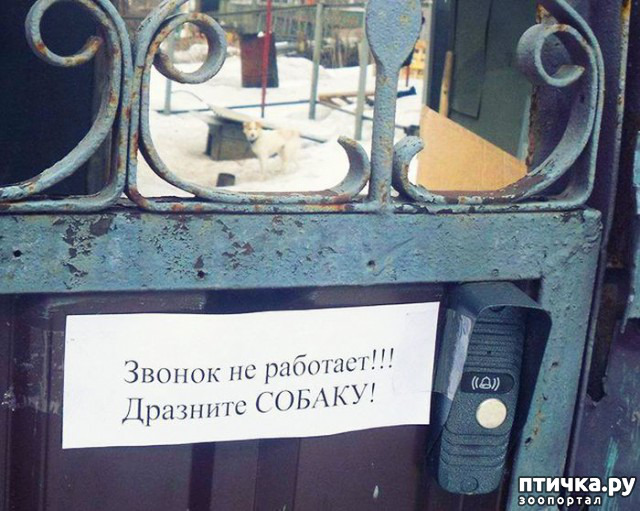 ���� 20: ���������� ������ ������...