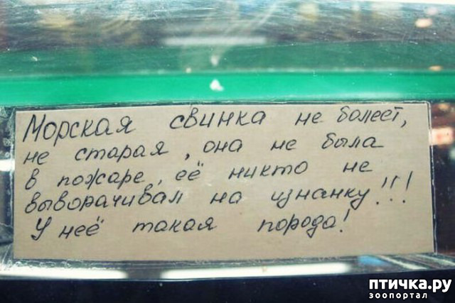 ���� 22: ���������� ������ ������...