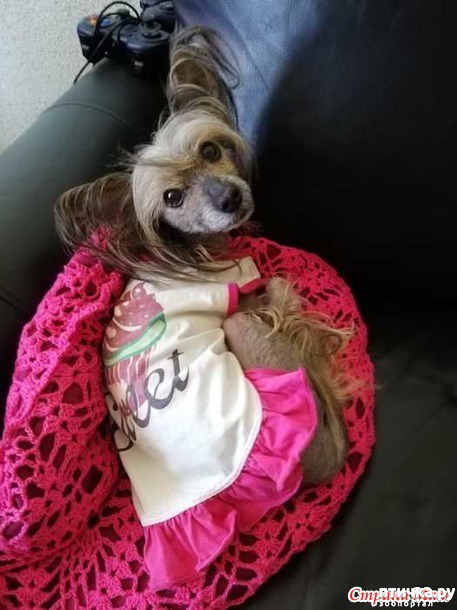 ���� 2: ����� ���������-������� ��� ������.