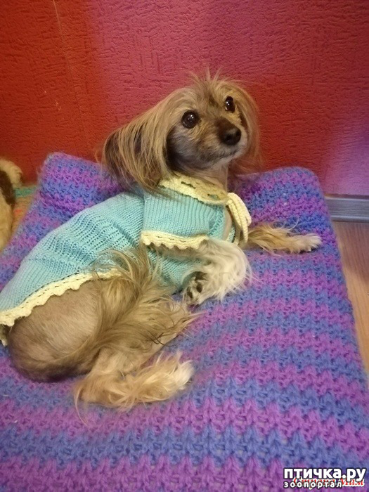 ���� 3: ����� ���������-������� ��� ������.