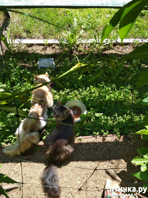 ����: ������� � ����� � ����