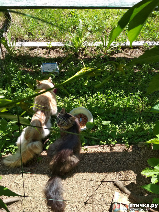 ���� 1: ������� � ����� � ����