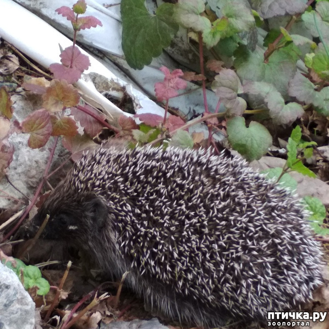 ���� 3: ������� � ����� � ����