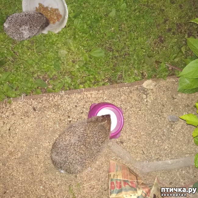 ���� 4: ������� � ����� � ����