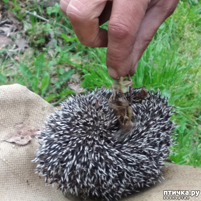 ���� 2: ������� � ����� � ����